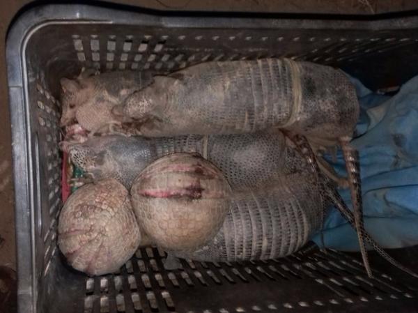 Operação apreende armas artesanais e animais abatidos no Sul do Piauí