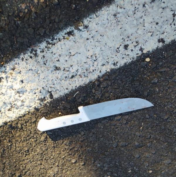Adolescente &eacute; suspeita de matar av&ocirc; de vereador em Vila Nova do Piau&iacute;.(Imagem:Divulga&ccedil;&atilde;o/PM)