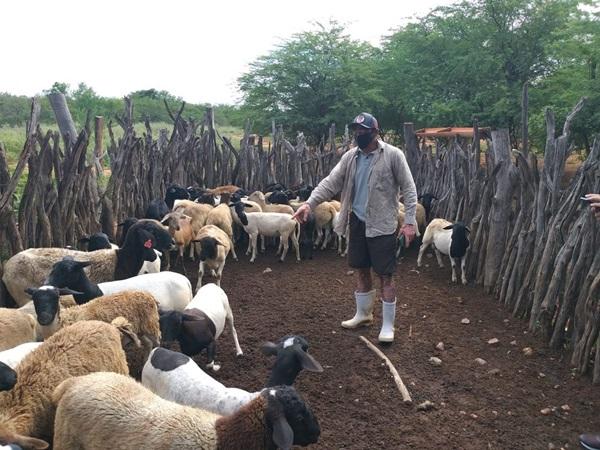 Projeto transformou a vida de 36 mil fam&iacute;lias de agricultores em 89 munic&iacute;pios do semi&aacute;rido no Piau&iacute;(Imagem:Reprodu&ccedil;&atilde;o)