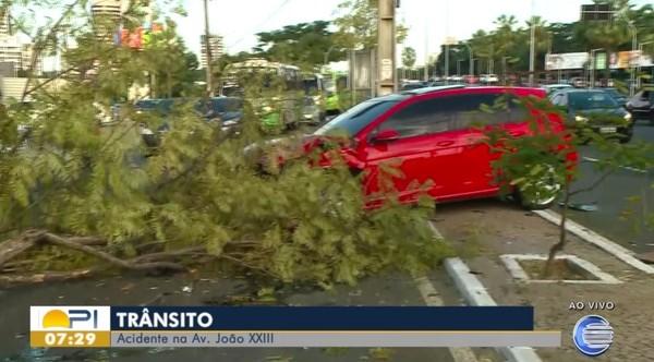 Condutor perde controle do carro e colide com árvore na Avenida João XXIII