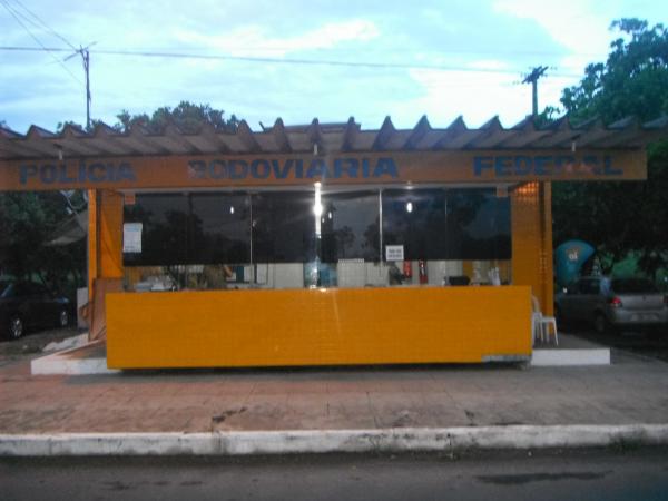  Animais na pista causam acidentem na rodovia BR-343.(Imagem:FlorianoNews)