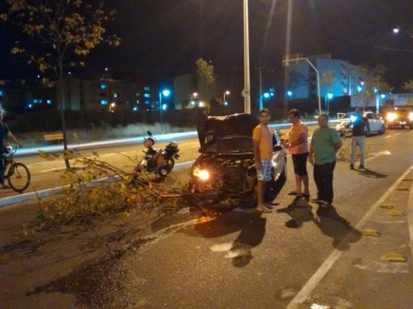 Carro derruba árvore após motorista desviar de motociclista em Teresina