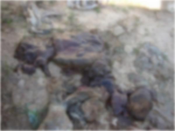 Restos mortais s&atilde;o encontrados no cemit&eacute;rio de Bar&atilde;o de Graja&uacute;.(Imagem:FlorianoNews)