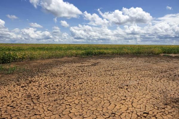Boletim confirma avanço da seca no Piauí e Semarh lança ferramenta para acompanhar situação