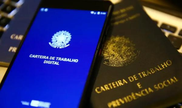Piauí é destaque na redução da taxa de desocupação e no saldo de empregos formais