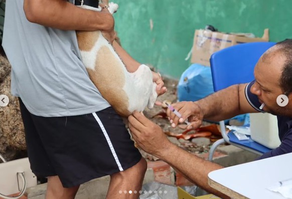 Campanha de vacinação contra raiva em Floriano alcança sucesso com mais de 11 mil animais imunizados