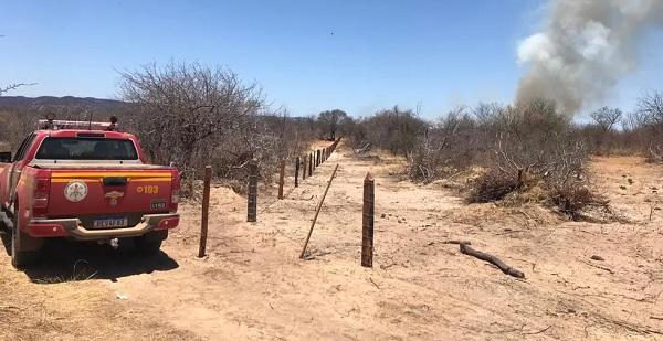 Incêndio atinge mais de 200 hectares de vegetação e mata animais em Dirceu Arcoverde, Sul do Piauí