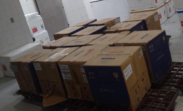 Piauí recebe 83 mil doses de vacinas contra Covid-19 para imunização de crianças