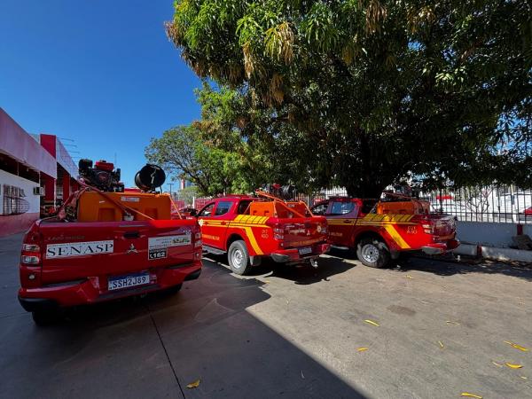 O objetivo &eacute; manter as equipes de prontid&atilde;o no combate &agrave;s queimadas de norte a sul do Piau&iacute;.(Imagem:Divulga&ccedil;&atilde;o)