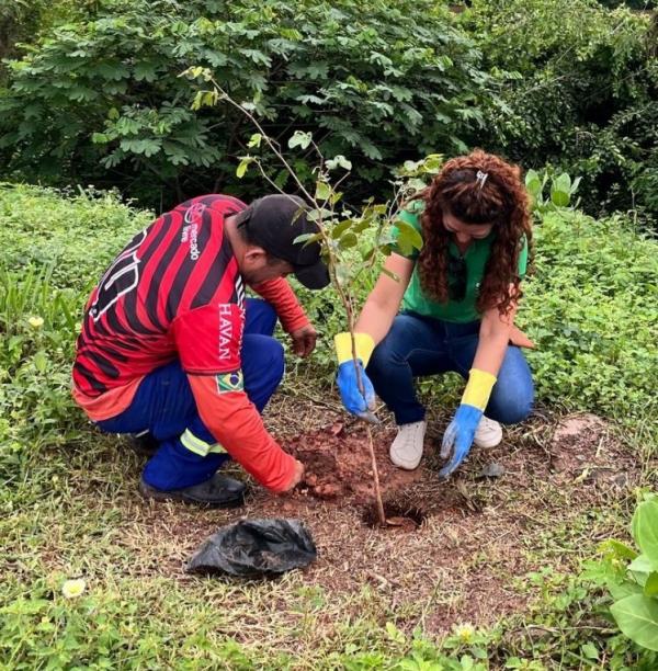 Prefeitura de Floriano celebra "Dia Internacional das Florestas" com plantio de mudas