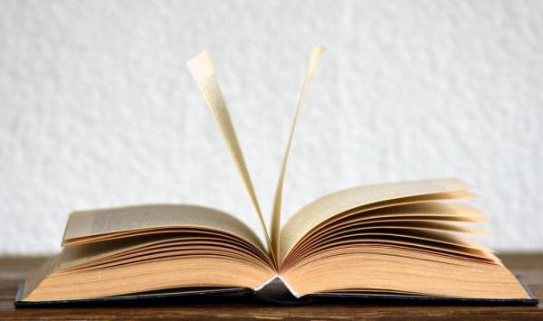 Veja o que estudar sobre língua portuguesa na reta final para o Enem 2021