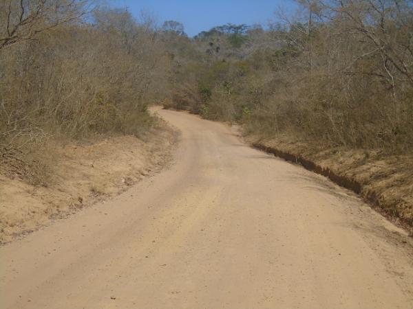 Homem morre após colidir moto com animal na zona rural de Barão de Grajaú