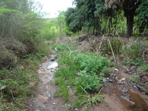 Descaso ou isolamento no bairro Canoas em Floriano?