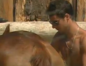 Sergio Abreu cuida dos cavalos