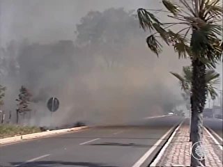 Por conta de estiagem, focos de incêndio crescem no Piauí
