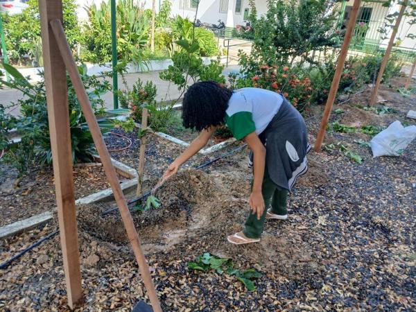 Em Castelo do Piau&iacute;, estudantes da rede estadual transformam escola em espa&ccedil;o de sustentabilidade e inova&ccedil;&atilde;o(Imagem:Divulga&ccedil;&atilde;o)