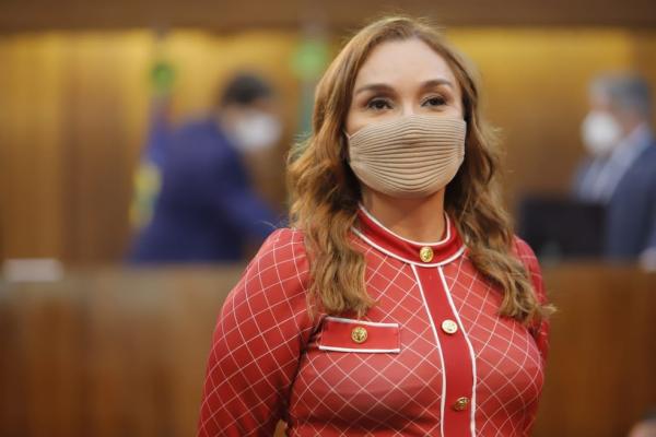 Deputada estadual Flora Izabel (PT) é eleita conselheira do Tribunal de Contas do Estado do Piauí