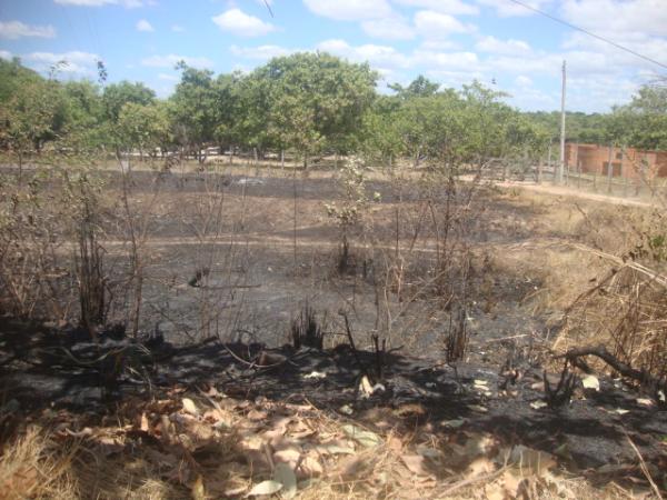 Inc&ecirc;ndios(Imagem:FlorianoNews)