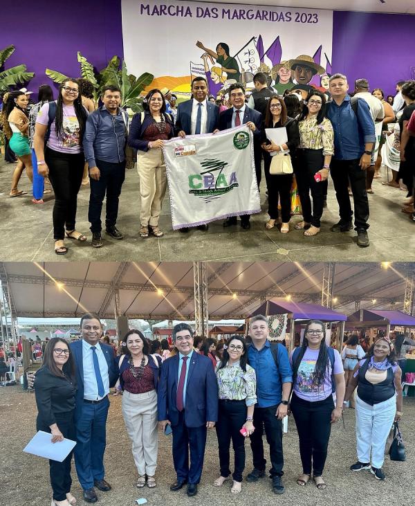 Deputado federal Dr. Francisco Costa participa da 7ª Marcha das Margaridas.(Imagem:Jéssyca Barros e Roberta Aline)