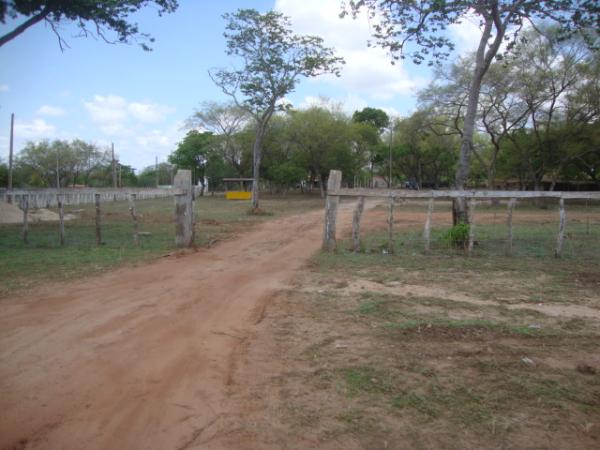 Parque Tatu de Vaquejada(Imagem:reda&ccedil;ao)