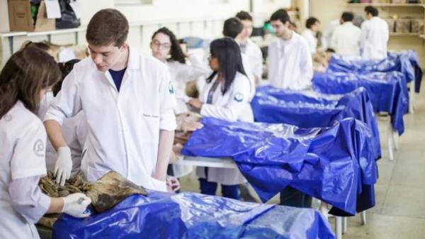 Piauí ganhará três novos cursos de medicina em faculdades privadas; veja lista das 96 cidades aptas