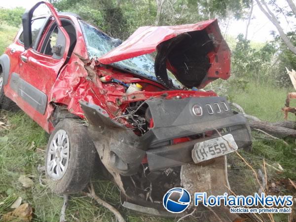 Jovem morre ao colidir em &aacute;rvore na BR 343(Imagem:FlorianoNews)