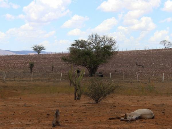 Carros-pipa abastecem 83 cidades do Piauí, diz secretário de defesa civil