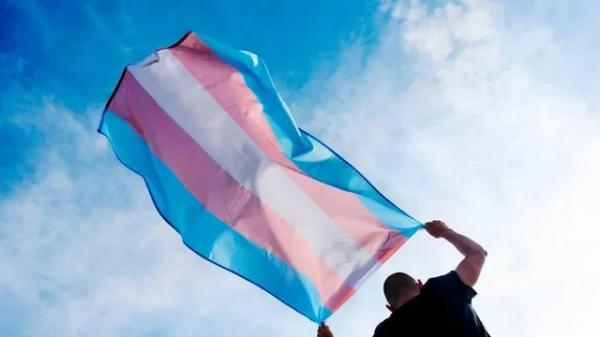 UFDPar aprova cotas para pessoas trans em cursos de graduação e pós-graduação