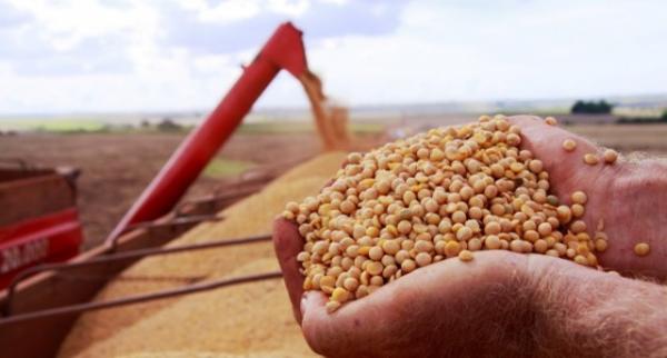 Produção brasileira de grãos deverá crescer 21,5% em 10 anos, estima ministério