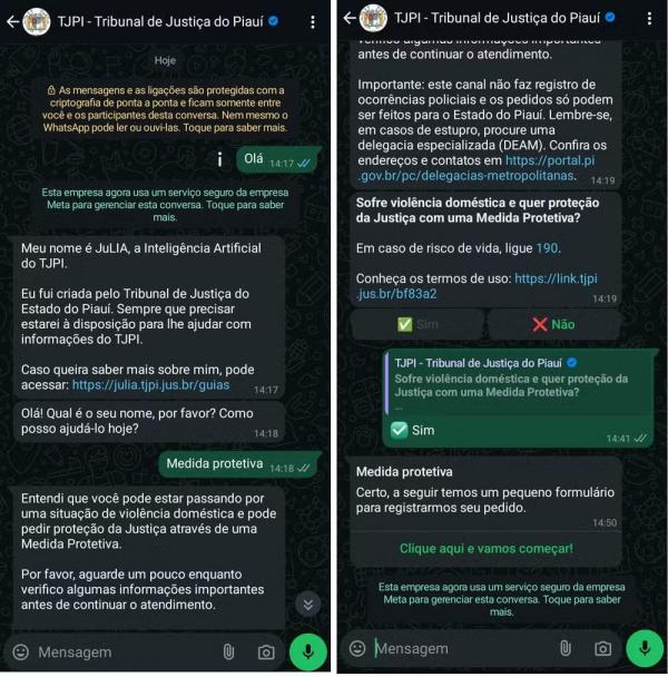 JuLIA intelig&ecirc;ncia artificial do TJPI.(Imagem:Reprodu&ccedil;&atilde;o)