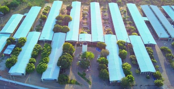 Governo Federal autoriza abertura de cursos com 500 vagas da UFPI; veja áreas e cidades