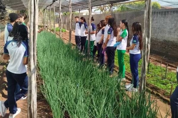 Estudantes da rede estadual transformam horta escolar em exemplo de sustentabilidade e aprendizado em Valen&ccedil;a(Imagem:Ascom Seduc)