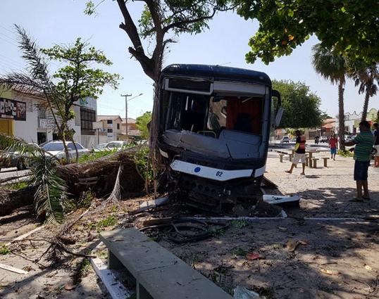 Ônibus desgovernado sobe canteiro central e bate em árvore no litoral