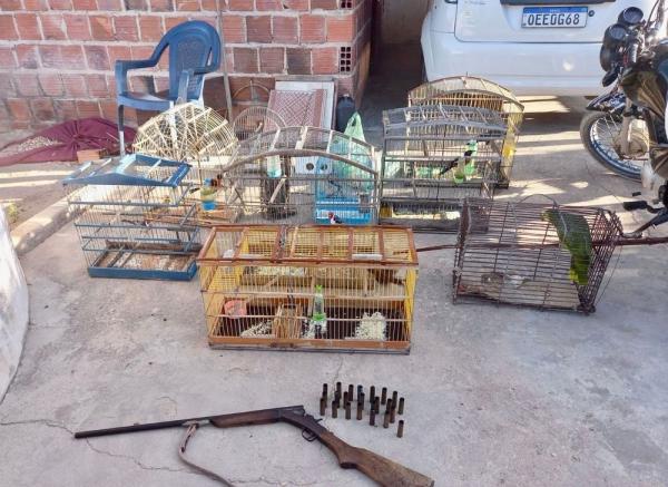 Semarh e Polícia Civil deflagram operação contra caça ilegal de animais silvestres(Imagem:Divulgação)