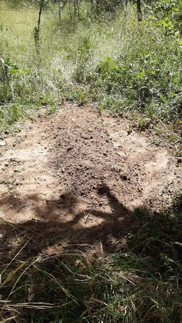Família enterra corpo de idoso vítima de Covid em cova rasa no quintal de casa no interior do Piauí