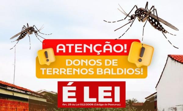 É lei! A limpeza de terrenos baldios é de responsabilidade dos proprietários