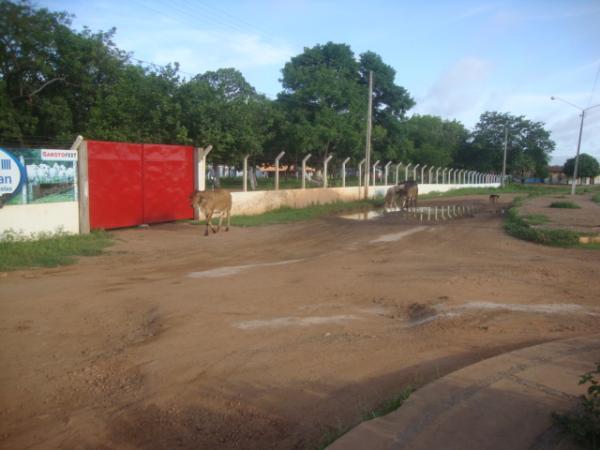 Prefeitura disse que j&aacute; tem projetos para melhorar o trecho(Imagem:reda&ccedil;ao)