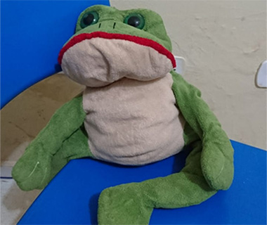 Sapinho de pelúcia recheado de dinheiro é achado em casa de suspeito de tráfico