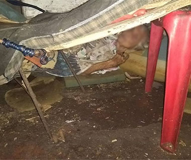 Idosa em estado debilitado é encontrada sozinha em casa na Capital