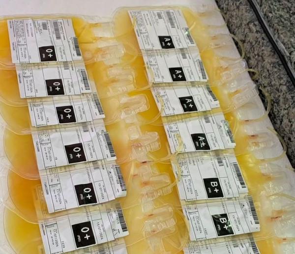 Hemopi inicia produção e distribuição de plaquetas em Floriano e descentraliza serviço.(Imagem:Divulgação)