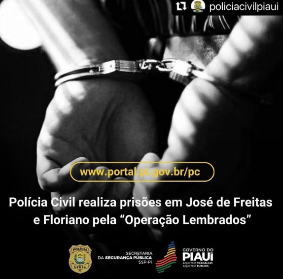 "Operação Lembrados": Polícia Civil realiza cumprimento de mandados em José de Freitas e Floriano