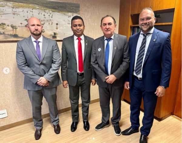 Francisco Costa recebe prefeitos piauienses para discutir demandas dos municípios