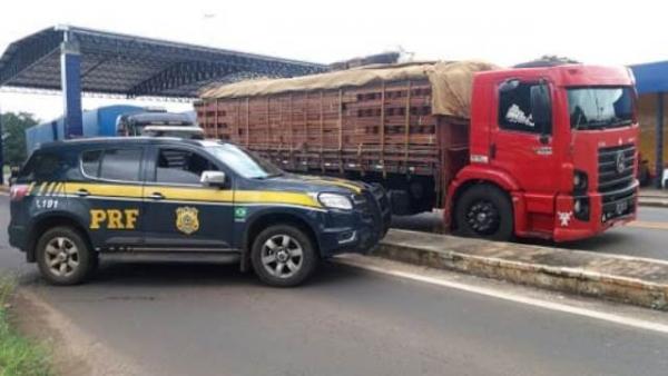 PRF apreende aproximadamente 49 toneladas de madeira irregular em Floriano
