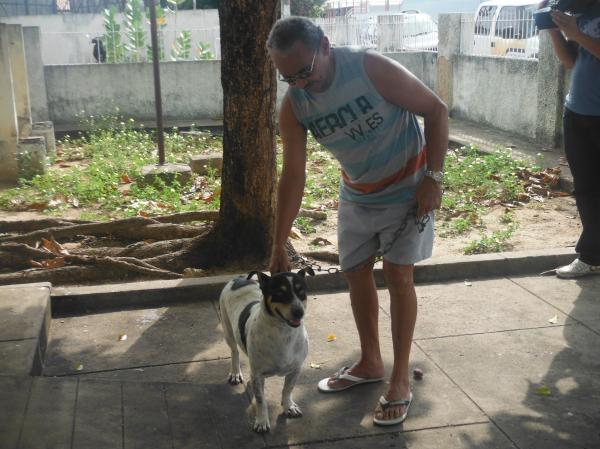 Dia D da vacinação anti-rábica aconteceu neste sábado em Floriano