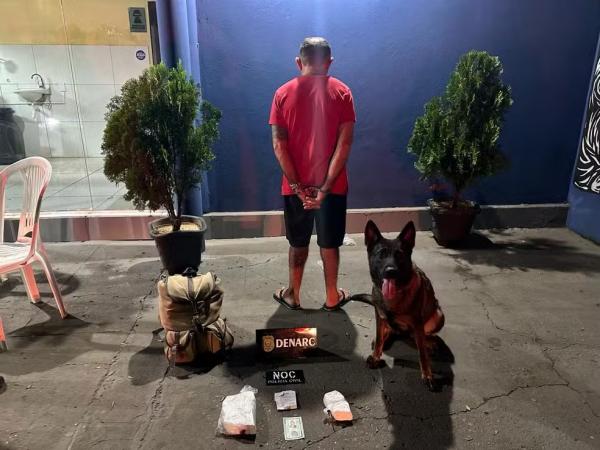 Cadela farejadora encontra droga escondida em lixeira de ônibus, no Piauí
