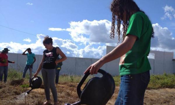 Escolas do semiárido recebem Sistemas Agroecológicos