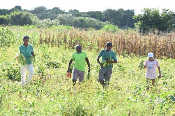 Agricultores(Imagem:Divulga&ccedil;&atilde;o)