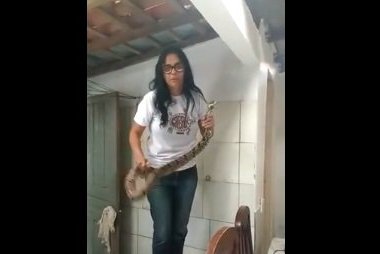 Cobra Jiboia é retirada do telhado de casa no bairro Mocambinho