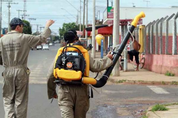 Zona Norte lidera em número de criadouros da dengue em Teresina