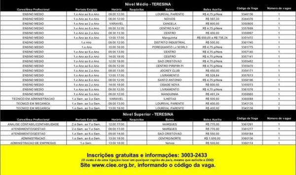Vagas de est&aacute;gio em Teresina.(Imagem:Divulga&ccedil;&atilde;o/CIEE)